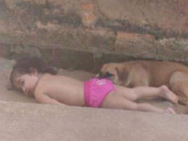 Phi thường - kỳ quặc - Con gái đang chơi đùa với bầy chó bỗng im bặt, bố mẹ vội đi kiểm tra thì "đứng hình" với cảnh tượng trước mắt