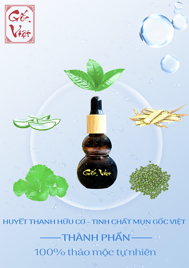 Gốc Việt – Nâng tầm giá trị thảo mộc Việt Nam - 2