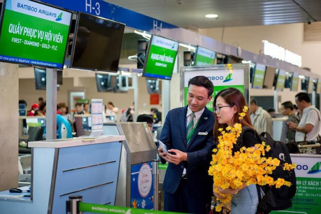 Các hãng hàng không Việt Nam nhận vận chuyển đào, mai trên các chuyến bay nội địa dịp tết Nguyên đán Tân Sửu 2021. Ảnh: BB
