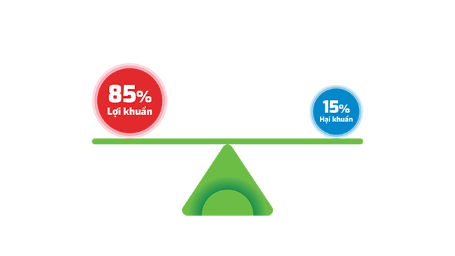 Đau bụng, đi ngoài sau uống rượu bia – Bạn đã biết cách đối phó? - 2