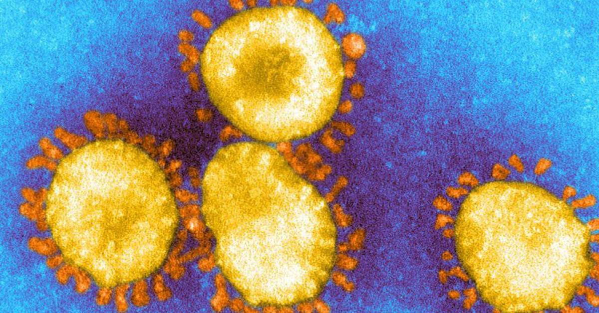 Sức khỏe đời sống - Vắc xin COVID-19 chống lại SARS-CoV-2 biến chủng như thế nào?