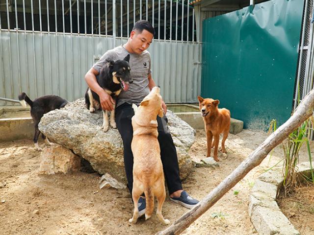 Tin tức trong ngày - 8X "hồi sinh" giống chó Lài - sát thủ trị rắn độc