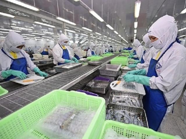 Thị trường - Tiêu dùng - Xuất khẩu tôm dự kiến mang về cho Việt Nam tới 3,78 tỷ USD
