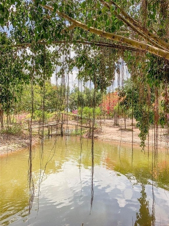 Khám phá bên trong biệt thự "khủng" của sao nữ đóng cảnh nóng 8 tiếng - 12