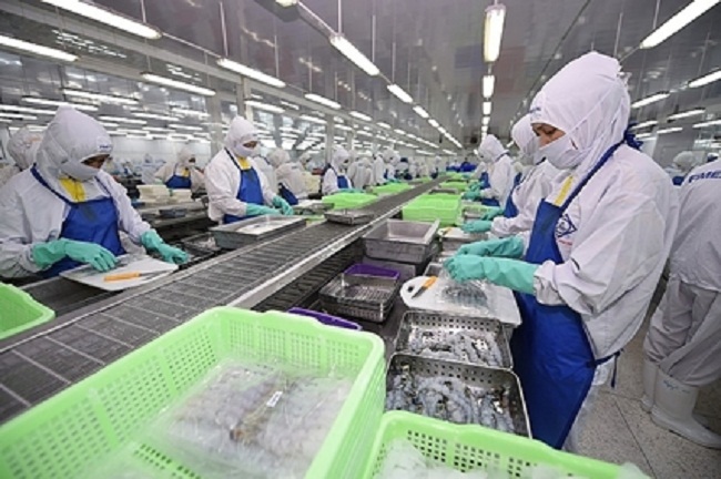 Theo Vasep, tới tháng 11 năm nay tôm chân trắng chiếm tới 72,5% tổng giá trị xuất khẩu tôm của Việt Nam