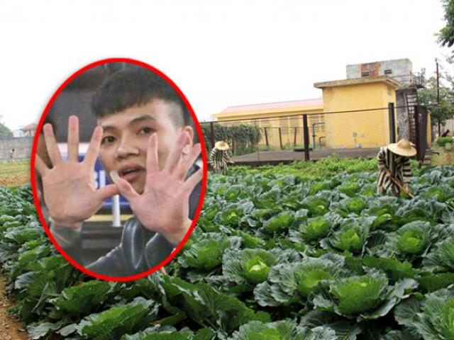 Tin tức Việt Nam - Nóng trong tuần: Đang béo tốt, Khá “bảnh” bị đồn chết trong trại giam