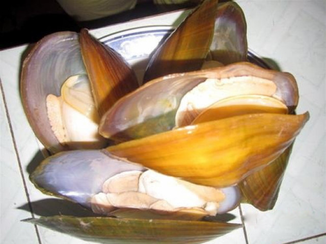 Sức khỏe đời sống - Thịt trai tăng phong độ cho chàng