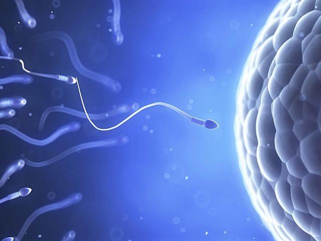 Sức khỏe đời sống - Những nguyên nhân không ngờ khiến quý ông vô sinh, "tinh binh" tổn hại nặng