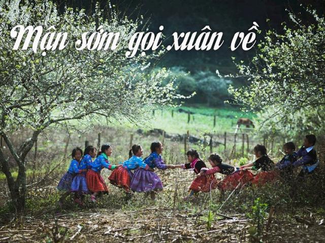 Du lịch - Mận sớm gọi xuân về