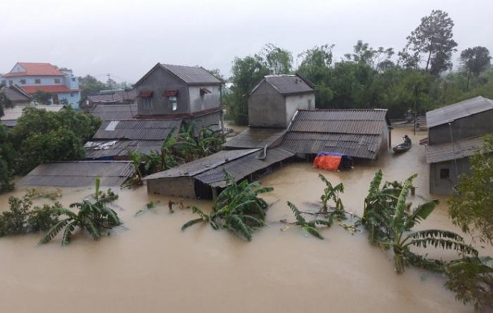 Thiên tai năm 2020: Khốc liệt và đau thương - 33