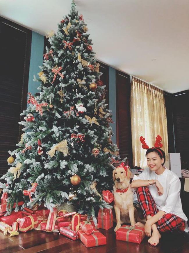 Trước khi thu hút sự chú ý bởi chuyện tình ái, Ngô Thanh Vân là ngôi sao kín tiếng của Vbiz. Thành danh từ cuộc thi Hoa hậu Việt Nam qua ảnh 2000, Ngô Thanh Vân bắt đầu thử sức ở nhiều lĩnh vực như ca hát, diễn xuất… Cô được khán giả chú ý với những vai diễn trong các dự án phim hành động như &#34;Bẫy rồng&#34;, &#34;Dòng máu anh hùng&#34; và mới đây nhất là &#34;Hai Phượng&#34;. Hiện tại, Ngô Thanh Vân có được chỗ đứng nhất định trong giới showbiz. Cô là một trong những bóng hồng sở hữu khối tài sản khủng.
