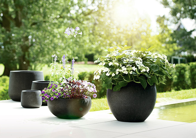 Quà tặng tân gia thân thiện môi trường - 1