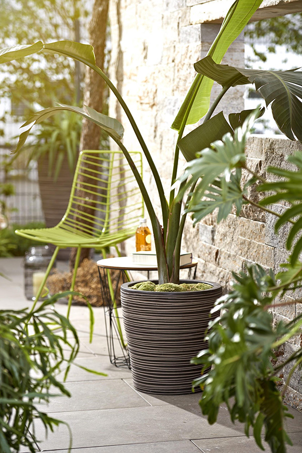 Quà tặng tân gia thân thiện môi trường - 2