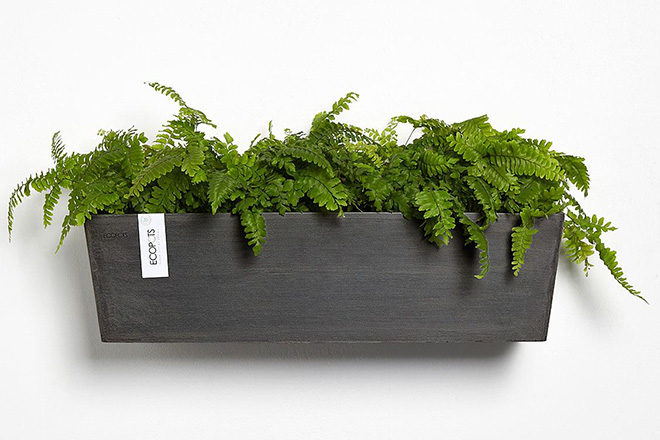 Quà tặng tân gia thân thiện môi trường - 3