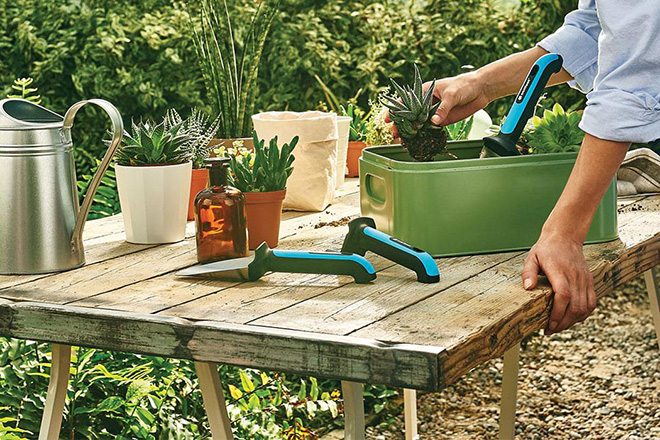 Quà tặng tân gia thân thiện môi trường - 4