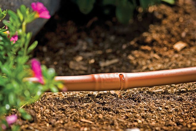 Quà tặng tân gia thân thiện môi trường - 5