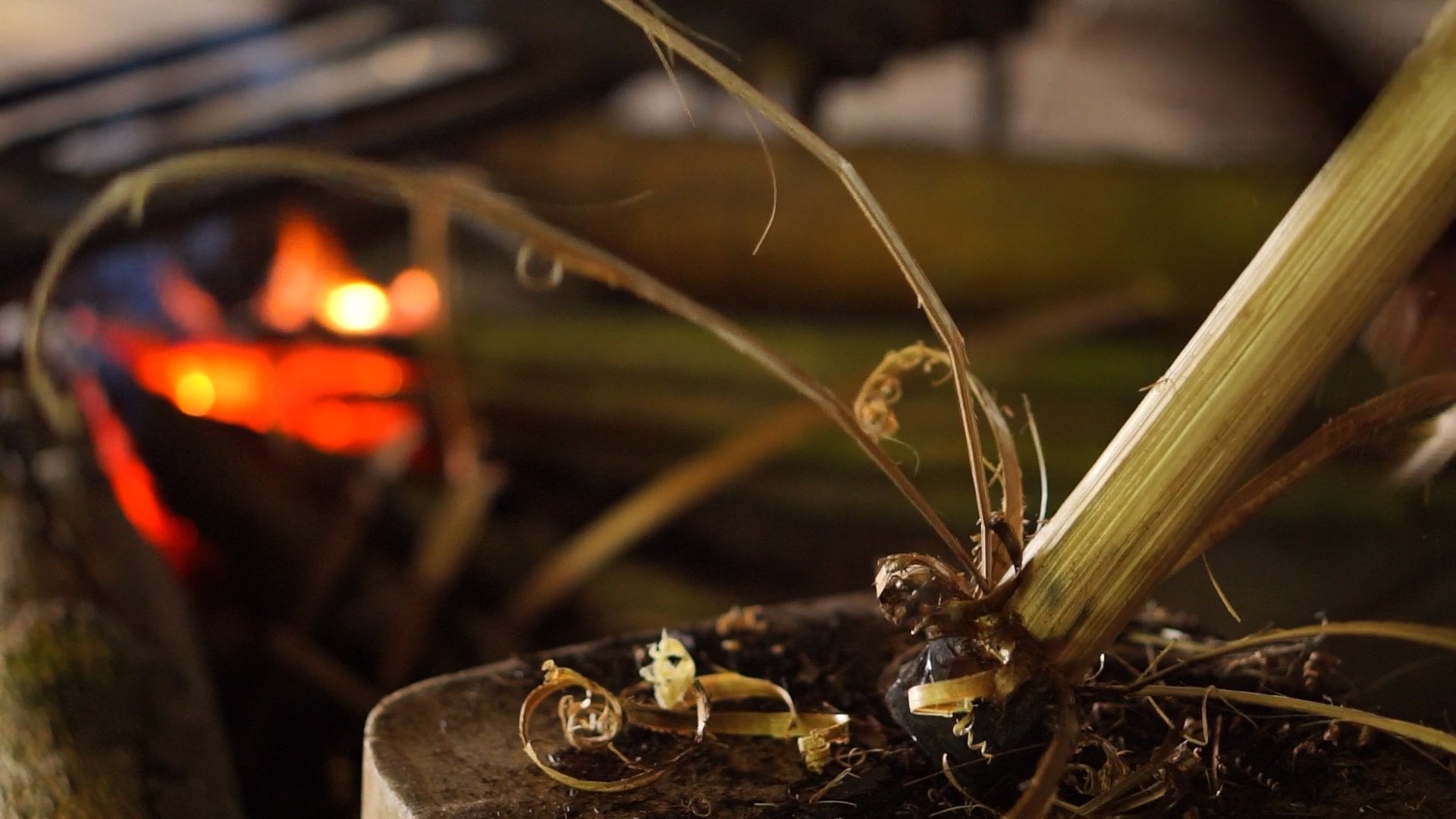 Cách làm cơm lam nhiều màu thơm dẻo, ấm bụng ngày đông - 5