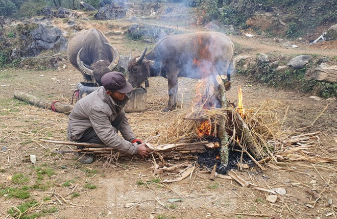 Hà Giang rét tê tái, người dân nổi lửa sưởi ấm cho gia súc - 10