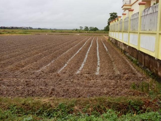 Kinh doanh - Bán ô tô “bẻ lái” mua đất quê, bất ngờ cuối năm vợ chồng tôi có số tiền gấp đôi