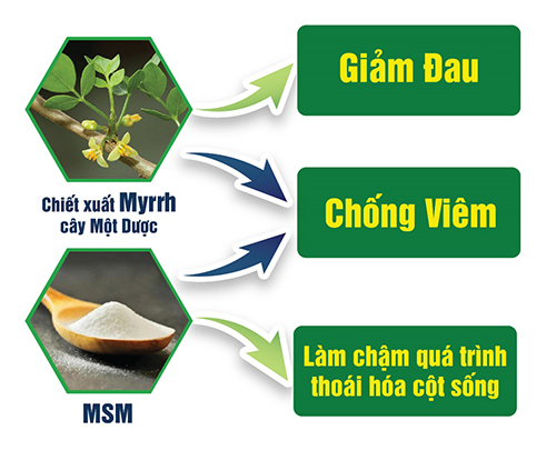 Tác động toàn diện của bộ đôi nguyên liệu trong Vương Hoạt