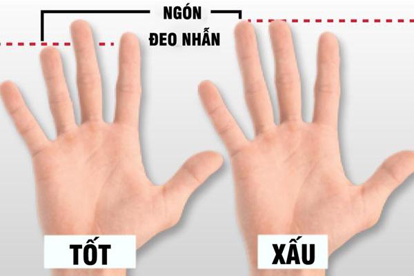 Một số đặc điểm trên cơ thể ngầm tiết lộ khả năng tình dục của chàng - 4