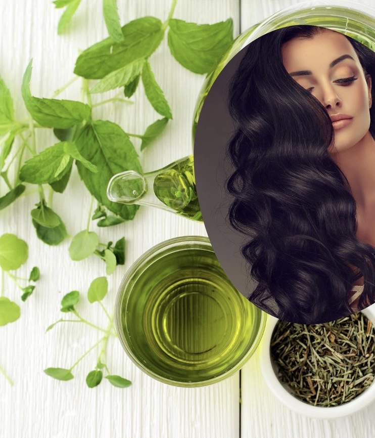 5 loại trà giúp nhuộm tóc, trị gàu, chữa rụng tóc - 1