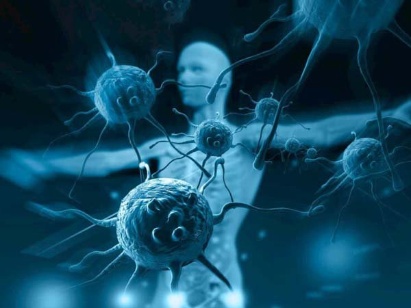 Hệ miễn dịch suy yếu là nguyên nhân gây bệnh lupus ban đỏ