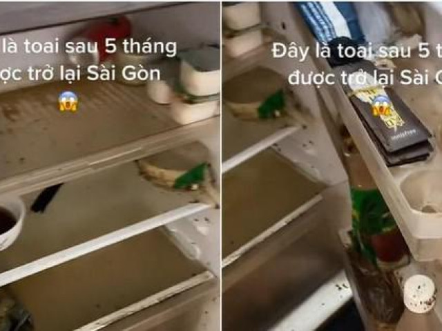 Bạn trẻ - Cuộc sống - Trở lại thành phố sau 5 tháng, cô gái bất lực vì tủ lạnh bị ngắt điện, mém "xỉu" khi mở tủ