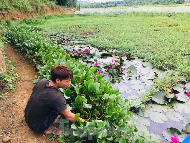 Biến ruộng hoang thành ao nuôi con "siêu đẻ", chàng trai 9x bỏ túi hàng trăm triệu - 3