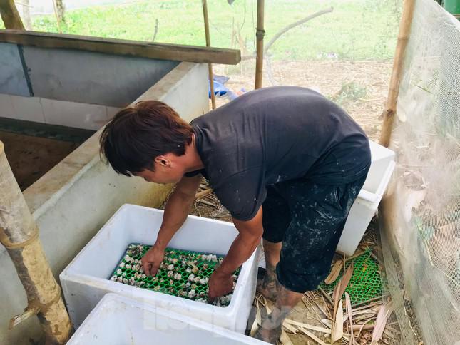 Biến ruộng hoang thành ao nuôi con "siêu đẻ", chàng trai 9x bỏ túi hàng trăm triệu - 2