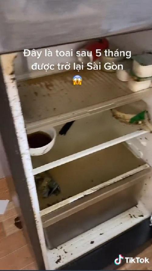 Trở lại thành phố sau 5 tháng, cô gái bất lực vì tủ lạnh bị ngắt điện, mém "xỉu" khi mở tủ - 1