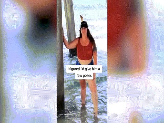 Phi thường - kỳ quặc - Vợ khoe video do chồng mới cưới quay, dân mạng thi nhau khuyên ly hôn ngay