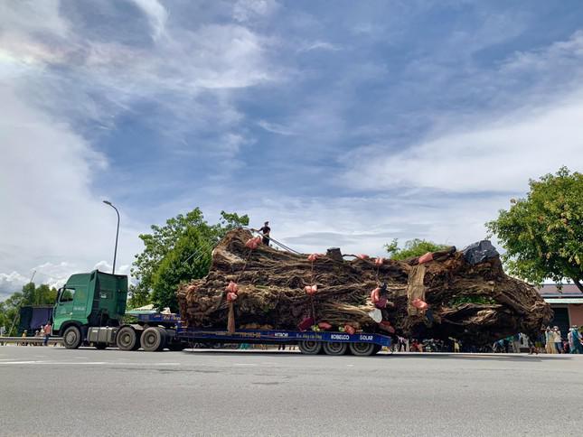 Dời “cụ” đa bằng xe siêu trường siêu trọng. Ảnh: Nguyễn Ngọc Cuộc di dời lịch sử