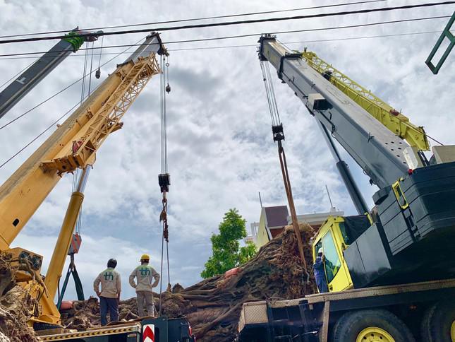 Nhiều xe cẩu hạng nặng tập trung nâng “cụ” đa về nơi ở mới