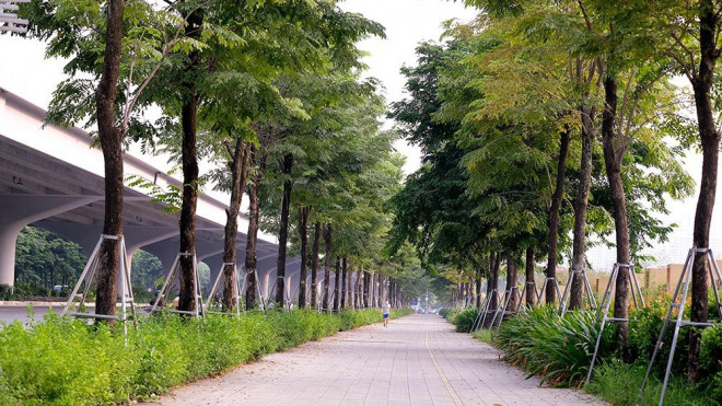 Vỉa hè thênh thang, hàng cây xanh ngát là hình ảnh giúp Thủ đô thành một thành phố xanh - sạch - đẹp.