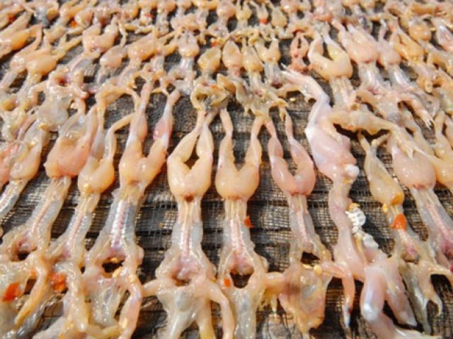 Ẩm thực - Đặc sản An Giang: Nghe tên đã thấy "hãi hùng", món gây tò mò cực hạn