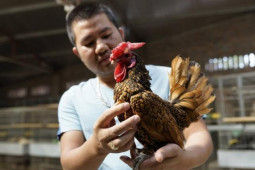 Kinh doanh - 8x Hà Nội bỏ việc lương nghìn đô làm việc ai cũng phản đối, thu về cả tỷ đồng/năm