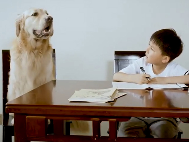 Cười 24H - Sự trợ giúp quá "uy tín" trong gia đình