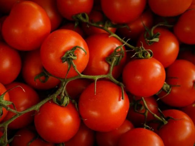 Thị trường - Tiêu dùng - Xuất hiện loại cà chua chỉnh sửa gene giúp giảm căng thẳng và sợ hãi?