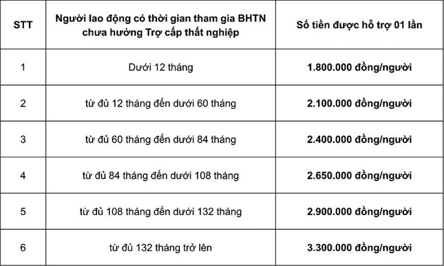 Người lao động cần làm gì để nhận được hỗ trợ từ gói 38 nghìn tỷ đồng? - 3