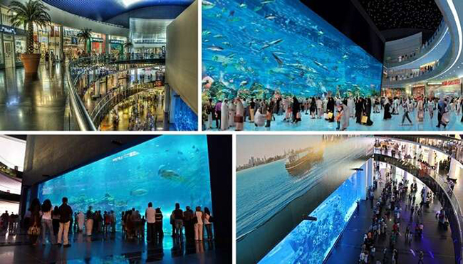 Thủy cung Dubai: Bạn có thể ngắm đủ mọi loại cá trong một bể cá khổng lồ tuyệt đẹp từ bên ngoài lối vào ở Dubai Mall, và nó hoàn toàn miễn phí
