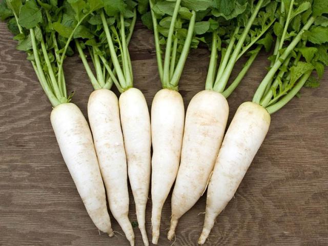 Sức khỏe đời sống - Bộ phận bổ như "nhân sâm" trên củ cải nhưng nhiều người vứt bỏ