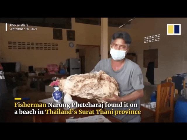 Thế giới - Thái Lan: Tưởng tìm thấy tảng đá bình thường, hóa ra báu vật cực kì giá trị