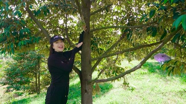 Ngoài ra, cô đầu tư một vườn trái cây ở Đồng Nai, diện tích 66.000 m2, trị giá 15 tỷ đồng. Trong vườn có nhiều cây ăn trái và nông sản theo mùa nên người đẹp thuê nhiều công nhân để chăm sóc, dọn dẹp vườn.
