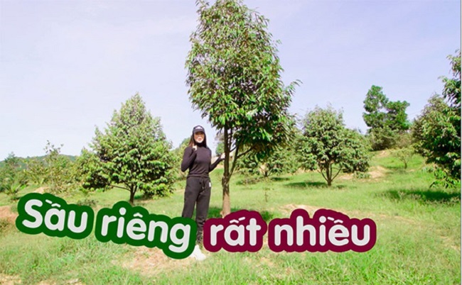 Mảnh đất đầu tiên của cô rộng 9.600 m2 ở Lâm Đồng, trồng nhiều loại cây như sầu riêng, mít, chôm chôm, mãng cầu... Trong khu vườn còn có một dòng suối vắt ngang, là nơi cô thư giãn, ngắm cảnh.
