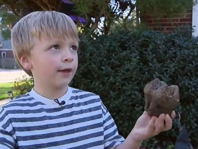 Du lịch - Đi chơi, bé 6 tuổi khai quật hóa thạch "quái thú" kỷ băng hà