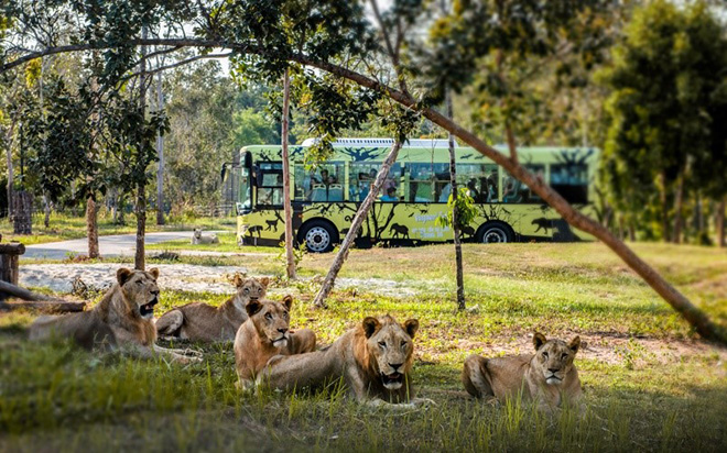 Một ngày vào vai “nhà động vật học” giữa “thiên đường hoang dã” Vinpearl Safari - 4