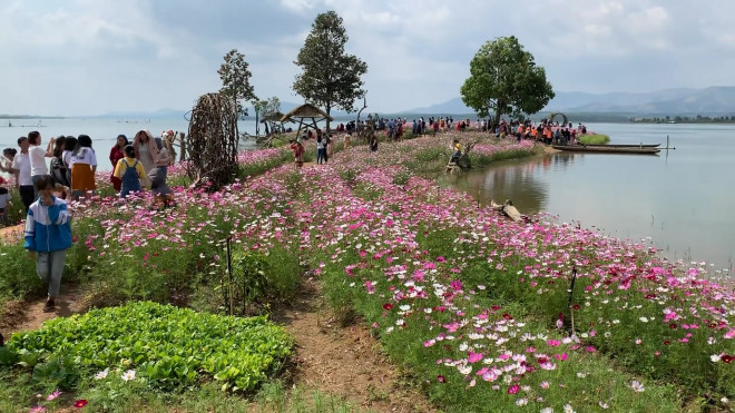 Đảo hoa Kon Trang Long Loi - Có nơi nào đẹp hơn? - 3