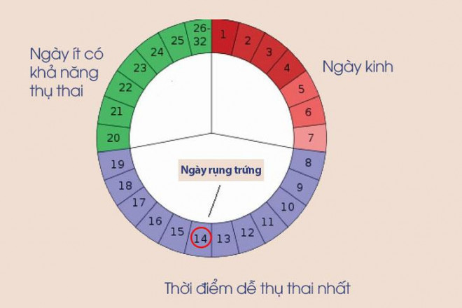 Quan hệ tình dục thời điểm nào dễ mang thai? - 3