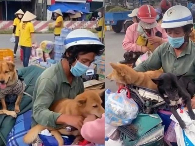 Công nghệ thông tin - Vụ '15 con chó' lọt top 5 chủ đề "hot" nhất ngày 10/10 trên Google